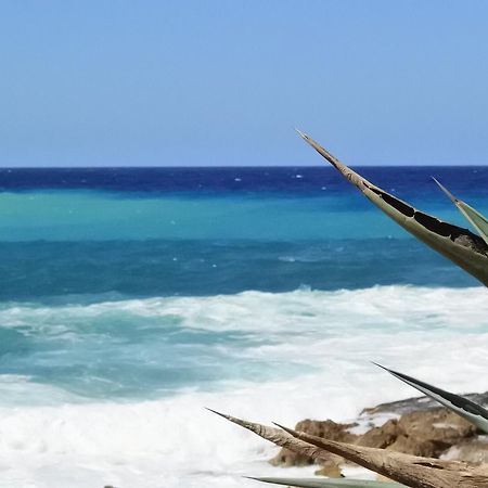 Paphos Kissonerga Beach Apartment מראה חיצוני תמונה