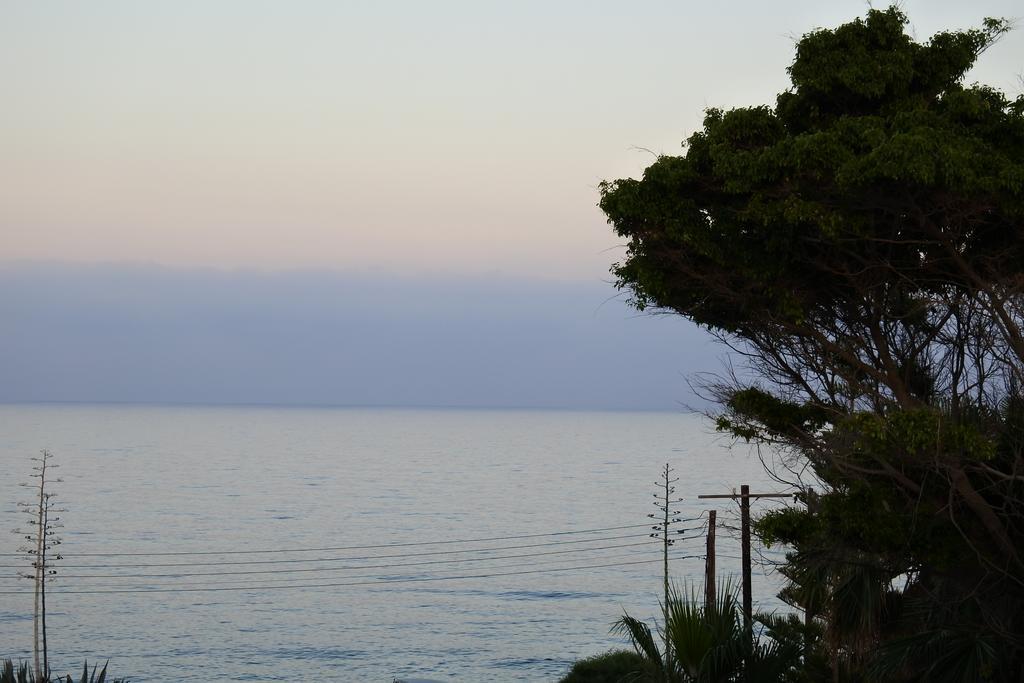 Paphos Kissonerga Beach Apartment מראה חיצוני תמונה