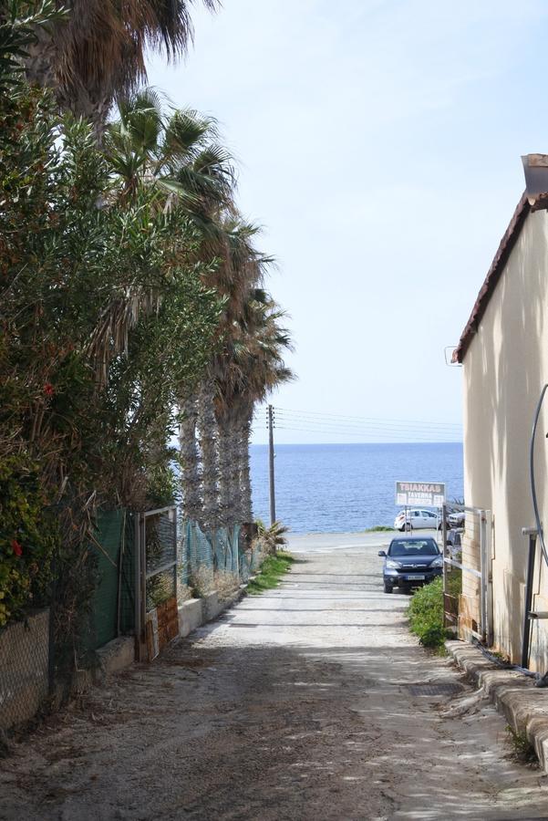 Paphos Kissonerga Beach Apartment מראה חיצוני תמונה
