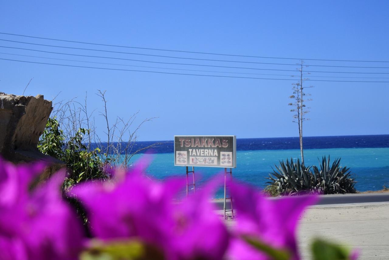 Paphos Kissonerga Beach Apartment מראה חיצוני תמונה